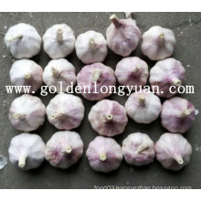 2016 New Crop Chinese Garlic
